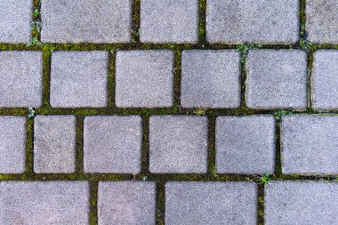 Taşlar Arasında Yeşil Yosun olan Çakıl Taşı Yolu. Taşların arasında yeşil yosunların büyüdüğü parke taşlı bir patikanın havadan görünüşü büyüleyici ve doğal bir estetik yaratıyor.