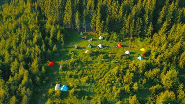 Campsite with colorful tents in a forest clearing. An aerial view of a campsite set in a forest clearing, with various colorful tents scattered across the lush green grass