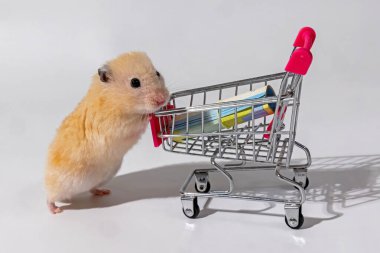 Mini Alışveriş Arabalı Hamster. Minyatür bir alışveriş arabasının yanında duran sevimli bir altın hamster.
