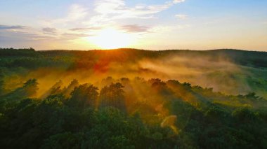 Altın Sis 'le Ormanın Üzerinde Günbatımı. Gün batımında altın güneş ışığıyla aydınlatılan canlı bir ormanın havadan görünüşü. Ağaçların tepelerinde sis yükseliyor.