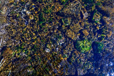 Güneş ışığı Kayalıklarla Sığ Nehir yatağında yansıyor. Temiz sığ nehir suyu çok renkli taşları ve yeşil algleri ortaya çıkarır. Güneş ışığı nehir yatağında parıldayan desenler oluşturur.