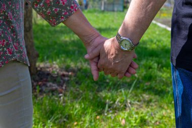 Üst düzey çiftlerin el ele tutuşmalarının yakın çekimi. Güneşli bir bahçede nazikçe el ele tutuşan yaşlı bir çiftin yakın görüntüsü aşkı, bağlantıyı ve hayat boyu arkadaşlığı simgeliyor.