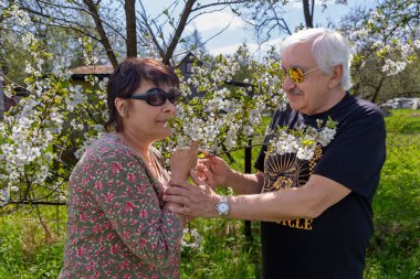 Kıdemli çift bahar kiraz çiçeklerinin tadını çıkarıyor. Yaşlı bir çift güneşli bir bahar gününde çiçek açan kiraz çiçekleriyle çevrili olarak dışarıda huzurlu bir an geçiriyorlar.