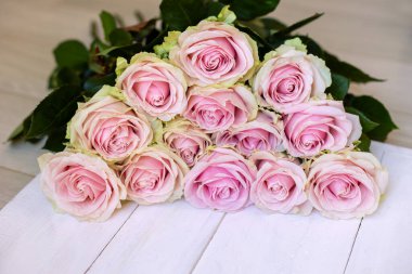 Beyaz ahşap üzerinde soluk pembe güller. Beyaz ahşap bir yüzeye dizilmiş zarif pembe güller. Romantik, düğün ya da çiçek temalı görseller için mükemmel.