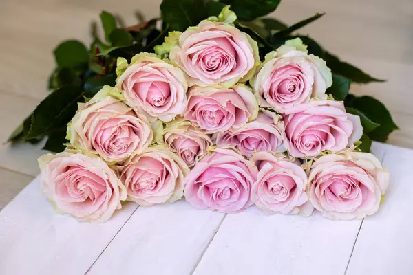 Beyaz ahşap üzerinde soluk pembe güller. Beyaz ahşap bir yüzeye dizilmiş zarif pembe güller. Romantik, düğün ya da çiçek temalı görseller için mükemmel.