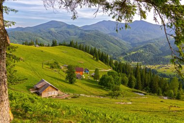 Yazın Manzaralı Dağ Köyü Peyzajı. Güneşli bir günde, arka planda ahşap evler, çam ağaçları ve dağ sıraları olan yeşil tepelere kurulmuş huzurlu kırsal köy.