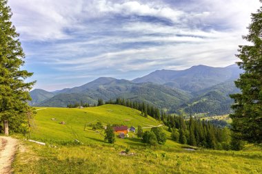 Yeşil yaz vadisindeki manzaralı dağ köyü. Huzurlu kırsal köy yemyeşil bir vadiye kurulmuş ormanlı dağlarla çevrili ve mavi gökyüzünün altında canlı bir yaz manzarası