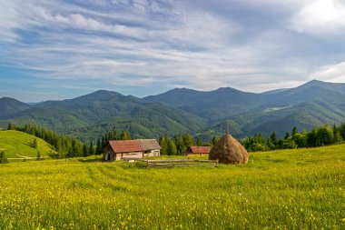 Yaz Peyzajı 'ndaki Rustik Dağ Çiftliği. Saman yığını, ahşap ahırlar ve mavi gökyüzünün altındaki yeşil orman dağlarında yuva yapmış canlı kır çiçekleri olan kırsal bir çiftlik.