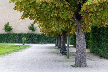 Ağaçlar ve banklar ile gölgeli park yolu. Boş bankların, yeşil yaprakların ve çakıl yollarının olduğu bir parkta ağaçlarla kaplı huzurlu bir yürüyüş yolu. Rahatlamak ya da yalnızlık sahneleri için ideal.