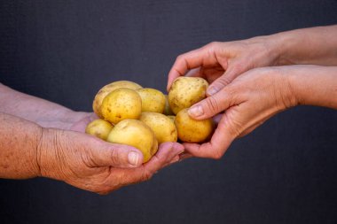 Patatesler kadınların elinde. İki nesildir birlikte çalışıyoruz. - Evet. Karanlık bir arka planda iki çift el. Bakım ve destek kavramı