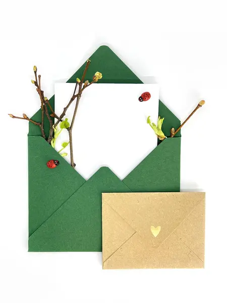 Two envelopes with space for text. Spring invitation. Envelope with twigs and leaves. Craft paper envelope with Ladybugs and open buds.
