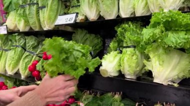 Süpermarkette aperatif salata ve turplar. Kadın taze sebzeleri dükkandan seçiyor. Ekolojik ürünle kadın ellerinin yakın çekimi. Sağlıklı yemek hazırlamak için organik ürünler seçmek.