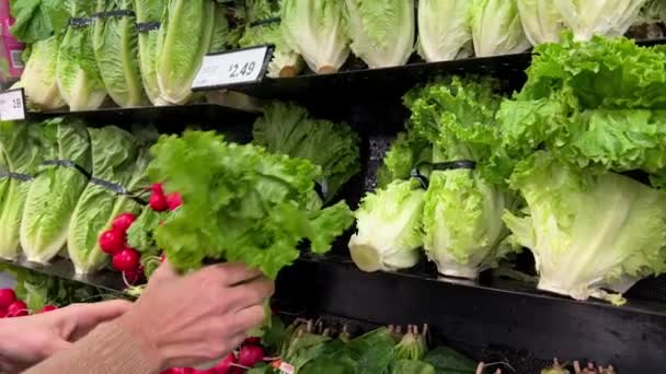 Salada Apetitosa Rabanetes Uma Tortura Supermercado Mulher Escolhe Vegetais Frescos — Vídeo de Stock