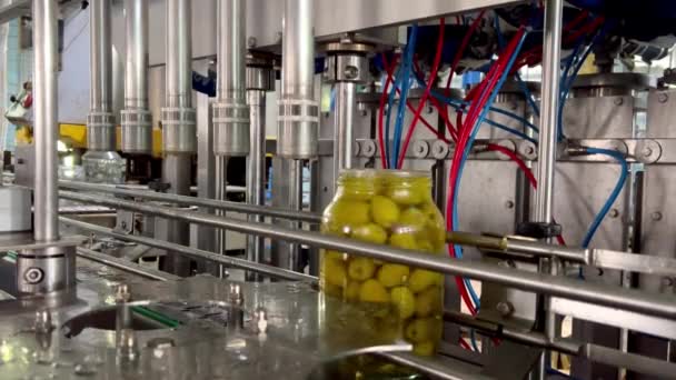 Olijven Glazen Containers Bewegen Productielijn Fabriek Voor Productie Van Ingeblikte — Stockvideo