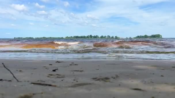 Weichtiere Einem Sandigen Ufer Zeitraffer Blick Auf Den Breiten Fluss — Stockvideo