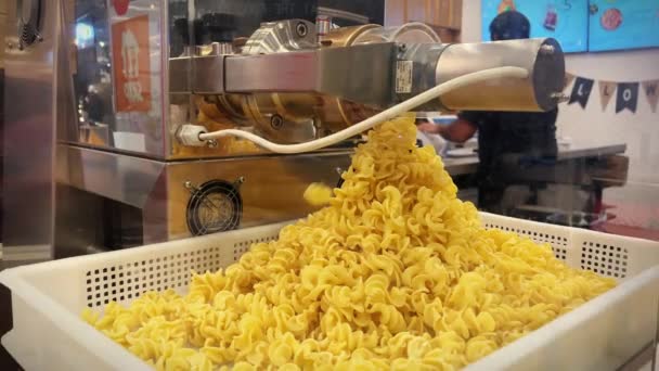 Nudeln Hausgemachte Pasta Mit Einer Maschine Einer Professionellen Küche Zubereiten — Stockvideo