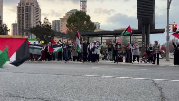 カナダのオンタリオ州ミシサガ 2023年10月28日 戦争に対する平和的な抗議 イスラエル パレスチナ紛争 パレスチナの国旗 プロテスタントの波の旗 — ストック動画