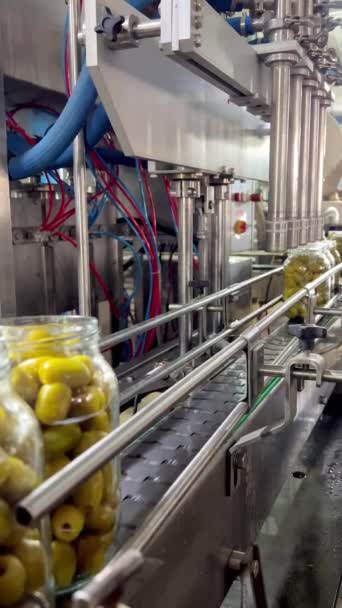Eingelegte Grüne Oliven Auf Dem Förderband Glasgläsern Oliven Auf Der — Stockvideo