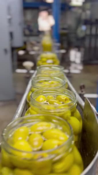 Nahaufnahme Grüner Oliven Auf Dem Förderband Unscharfer Hintergrund Einer Konservenfabrik — Stockvideo