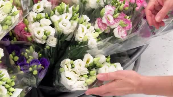 Купівля Квітів Жіночі Руки Європейської Жінки Вибирають Букет Ніжних Квітів — стокове відео