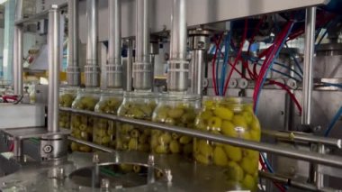Konveyör bandında zeytin dolu kavanozların hareketine yakın çekim. Konserve fabrikasındaki otomatik taşıma bandında cam zeytin kavanozları hareket ediyor. Otomatik terbiye dolumu. Gıda endüstrisi.