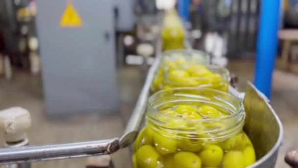 Grüne Oliven Verpackt Glasbehältern Bewegen Sich Entlang Einer Förderlinie Gemüseverarbeitungsanlage — Stockvideo