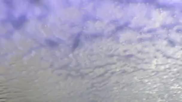 Seifenblasen Auf Einer Autoscheibe Makrofotografie Weißer Seifenschaum Bewegt Sich Auf — Stockvideo