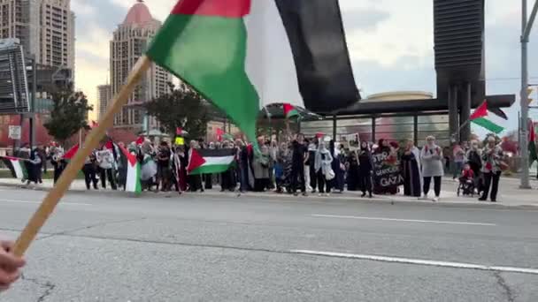 Протестующие Машут Флагами Антивоенный Протест Палестинцев Канаде Против Израильской Агрессии — стоковое видео
