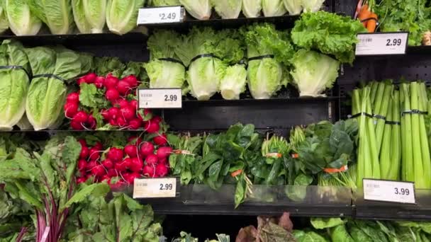 Chuť Čerstvým Ředkvičkám Svazcích Poličce Koupit Čerstvou Zeleninu Supermarketu Ženská — Stock video