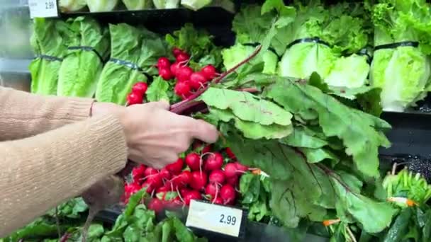 Beterrabas Jovens Saladas Frescas São Exibidas Prateleira Loja Uma Mão — Vídeo de Stock