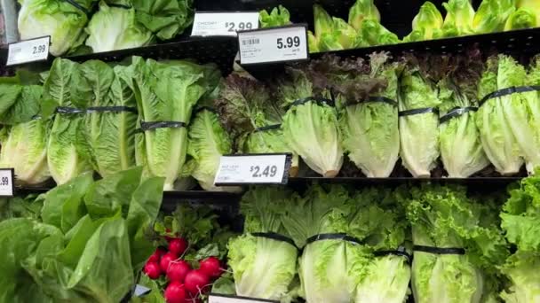 Marul Yakın Plan Markette Kaliteli Taze Yeşil Salata Seçimi Var — Stok video