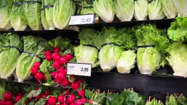 Saftige Frische Salate Liegen Säuberlich Regal Des Ladens Eine Weiße — Stockvideo