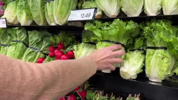 Einkaufen Ladenregal Stehen Chicorée Endivien Escarole Und Frische Radieschen Mit — Stockvideo