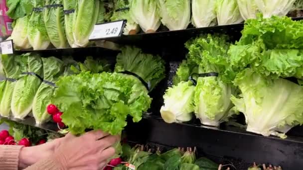 Nakupovat Šťavnaté Čerstvé Saláty Jsou Úhledně Vystaveny Regálu Obchodu Pro — Stock video