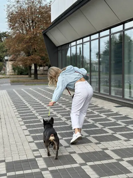 A tired dog returns from a walk. Girl and dog on a leash, rear view. Walking on a warm autumn day with a dog on a city street. French bulldog and stylish blonde in light clothes.