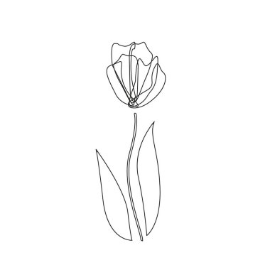 Lale vektör çizimi. Doodle tarzı. Tasarım, baskı, dekor, tekstil. Siyah çizgiden yapılmış bir lale. Beyazda izole edilmiş. Bahar çiçeği çizimi. Simle çizgi çizimi.