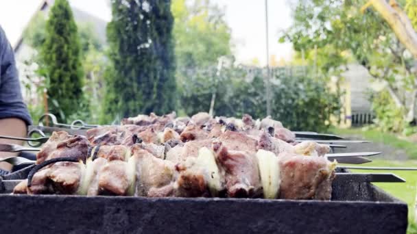 一个人在大自然中准备烤肉 烤肉时烤肉架发出刺耳的声音 浓烟弥漫在绿色的花园中 一个人是半透明的 监督着烤肉的过程 — 图库视频影像