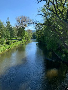 Bir nehir, canlı yeşil yapraklarla dolu sık bir ormanda yol alır. Su sürekli akar, etrafındaki yemyeşil bitki örtüsünü yansıtır..