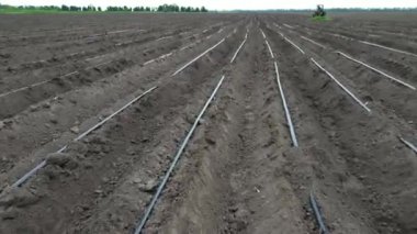Bir çiftçi tarlayı sulama borularıyla sürmek için traktör kullanır, ekime hazırlar. Traktör su ekinlerini sularken çizgiler oluşturuyor.