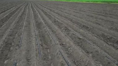 Sulama hatlarıyla tarlanın havadan görünüşü ekinleri suluyor, verimli bitki sulama sistemi, tarım ve ekin ekimi..