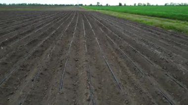 Geniş bir alanın, yakında ekilecek olan ekinlere su sağlamak üzere kurulmuş damlalı sulama borularıyla genel görüntüsü..