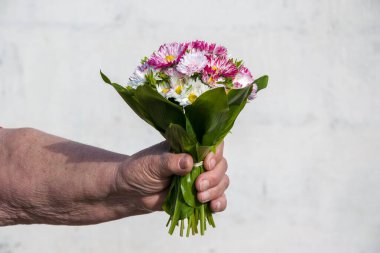 Bir insan güzel bir demet pembe ve beyaz çiçek tutuyor, suni ve kesilmiş çiçek karışımıyla çiçek düzenleme konusunda yaratıcı bir jest sergiliyor.