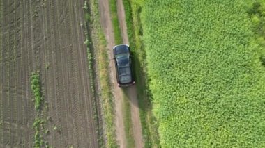 Siyah bir SUV iki tarla arasındaki toprak yolda ilerliyor. Yol yemyeşil bitki örtüsüyle çevrili. Video havadan çekilmiş..