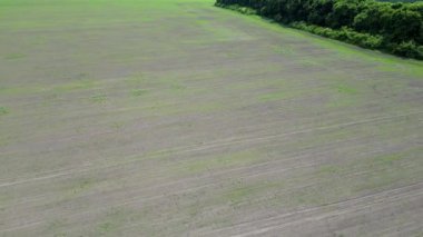Baharda yeni ekilmiş bir tarlanın geniş bir hava görüntüsü..