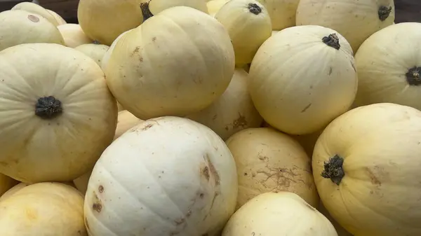 stock image A close-up shot of several pale yellow pumpkins, showcasing their unique shapes and textures.