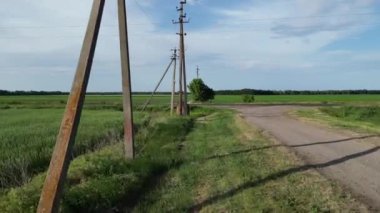 Yazın elektrik hatları ve yeşil arazileri olan kırsal bir yol manzarası.