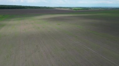 Yaz boyunca kırsaldaki bir tarlanın insansız hava aracı görüntüleri..