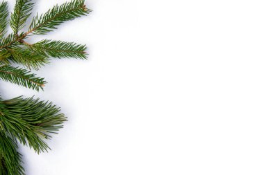 Canlı yeşil dallar sanatsal olarak temiz beyaz bir arka plana yerleştirilir. Bu da kış mevsiminde şenlik düzenlemeleri yapmak için idealdir..