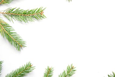 Çam dalları beyaz bir yüzeye yayılarak yemyeşil iğnelerini sergiliyor. Bu düzen kış ya da tatil projeleri için taze ve dingin bir estetik ideal sunuyor..