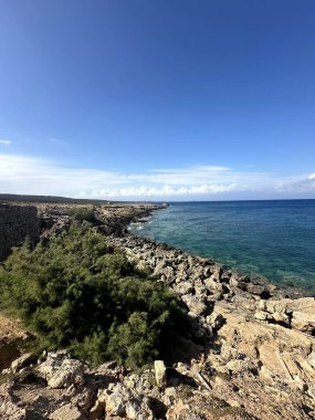 Berrak bir gökyüzü altında parlak güneş ışığıyla aydınlatılan canlı mavi suların ve yemyeşil suların yer aldığı kayalık bir sahil manzarası..